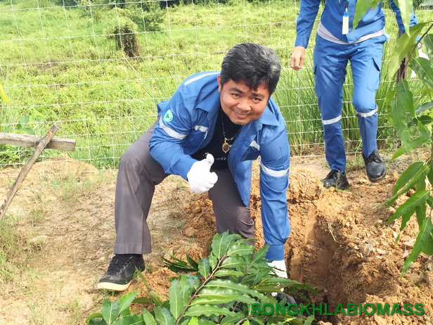 โครงการ Plant for dad 59