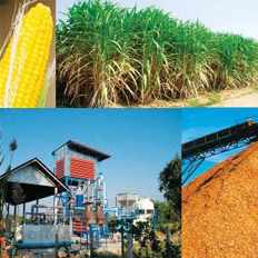 บริษัท สงขลาไบโอแมส จำกัด ข่าว Biomass technology is?