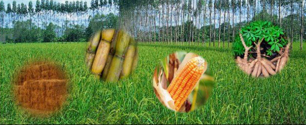 Biomass technology is?