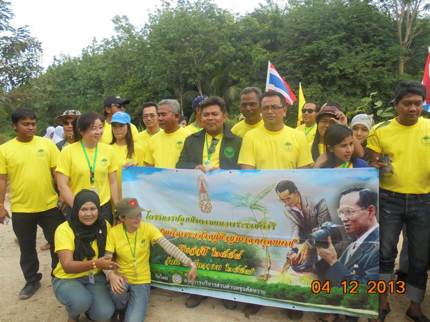 บริษัท สงขลา ไบโอแมส จำกัด Growing the forest in the celebration of His Majesty 2014